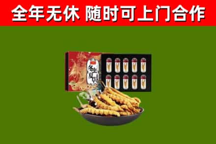 坪山烟酒回收冬虫夏草礼盒.jpg